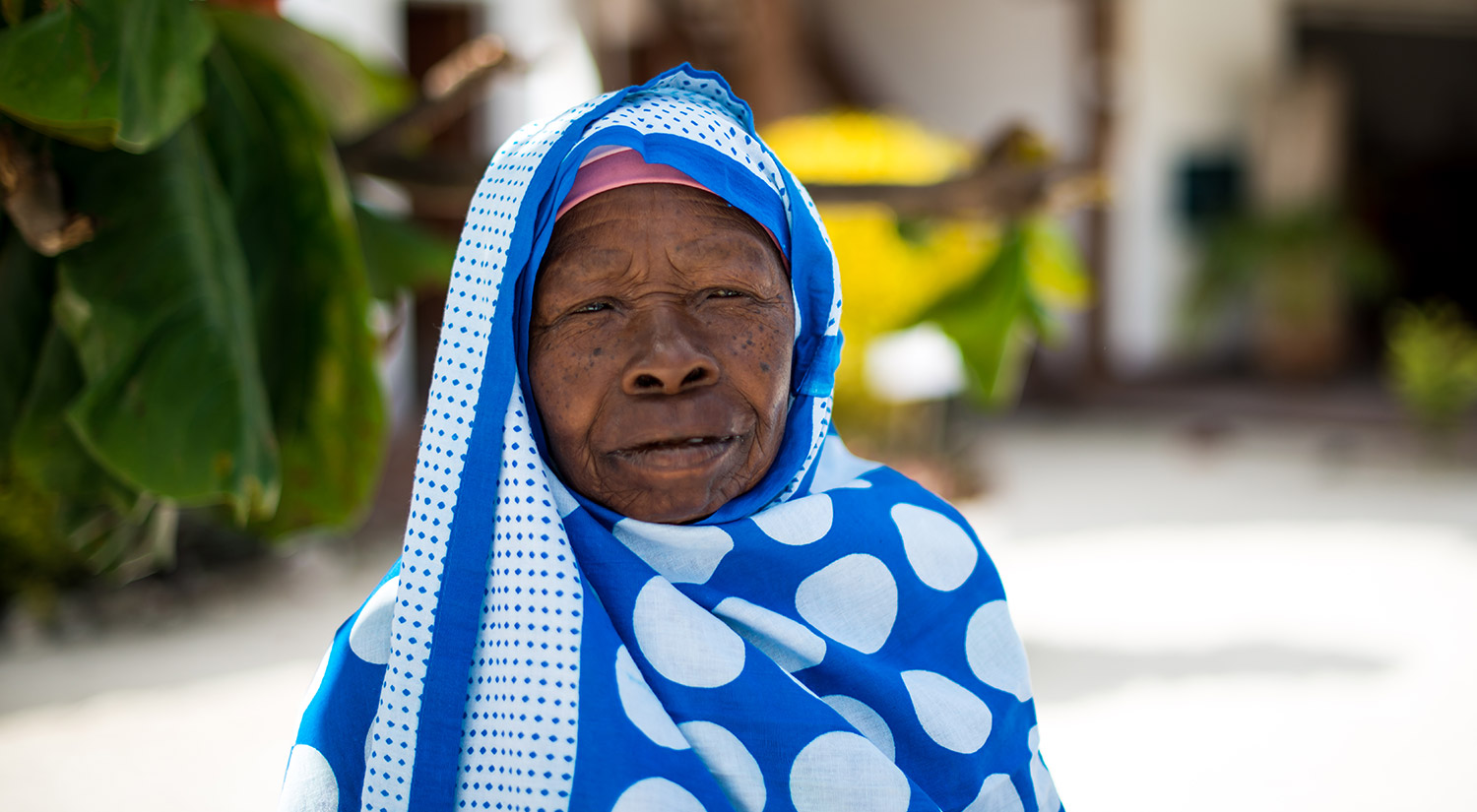 Seaweed Co. Zanzibar