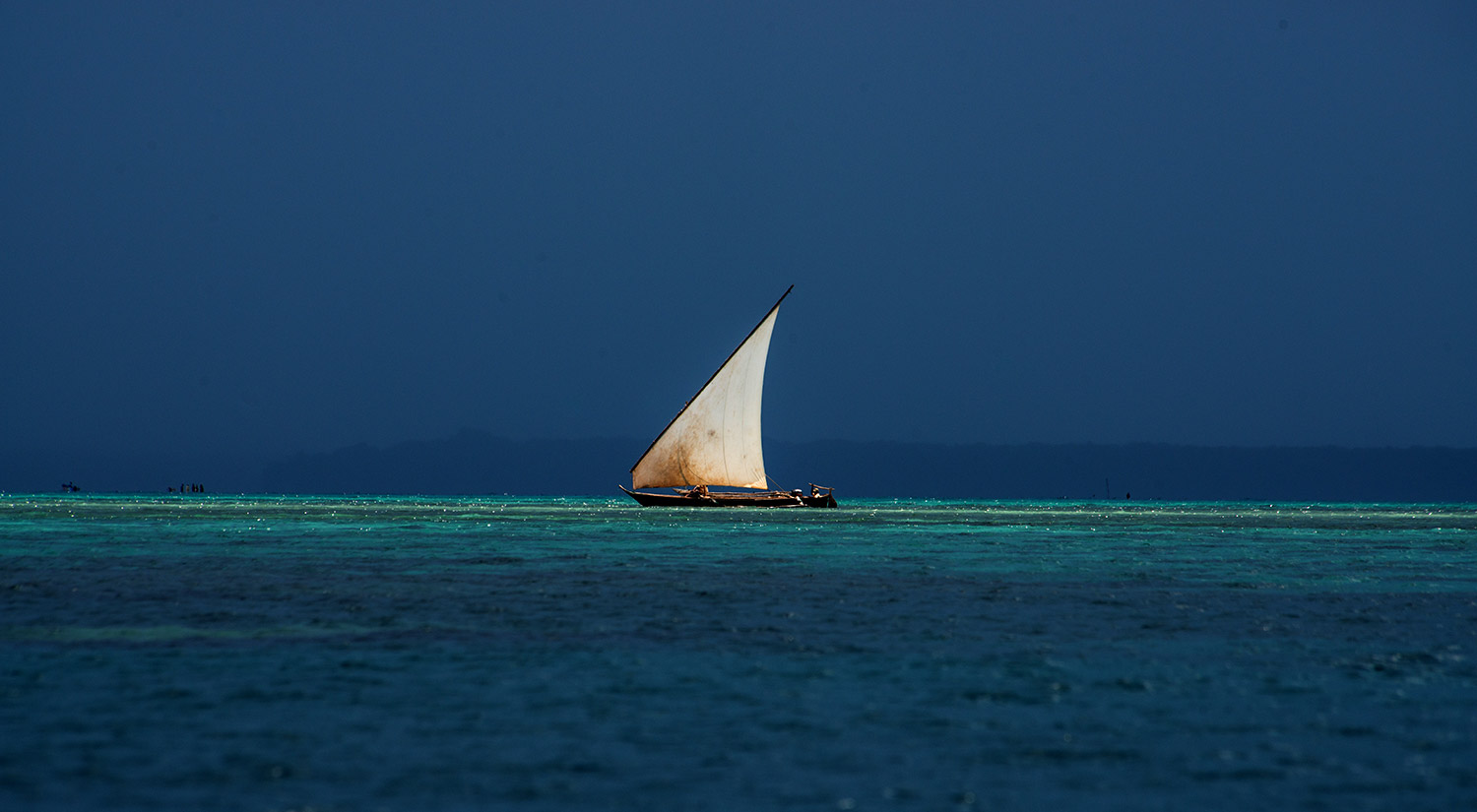 Seaweed Co. Zanzibar