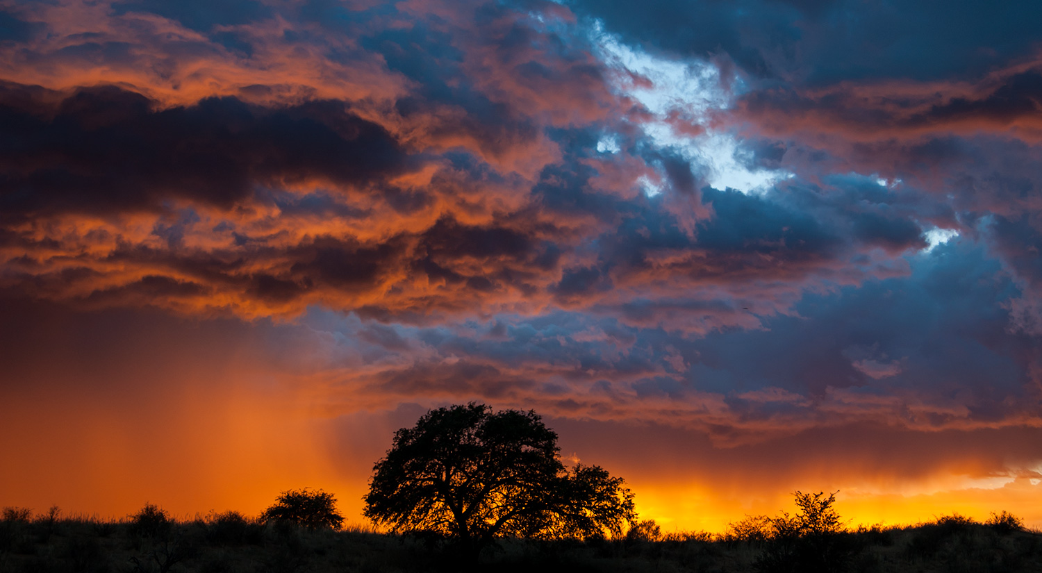 Richtersveld, Namibia