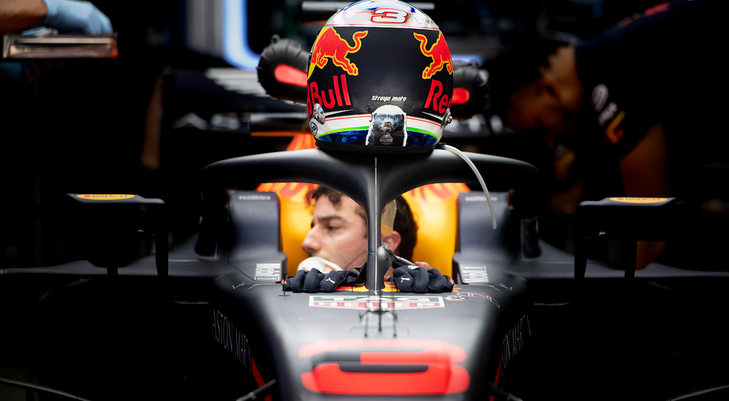 Daniel Ricciardo - Red Bull Racing, Sochi,  2018