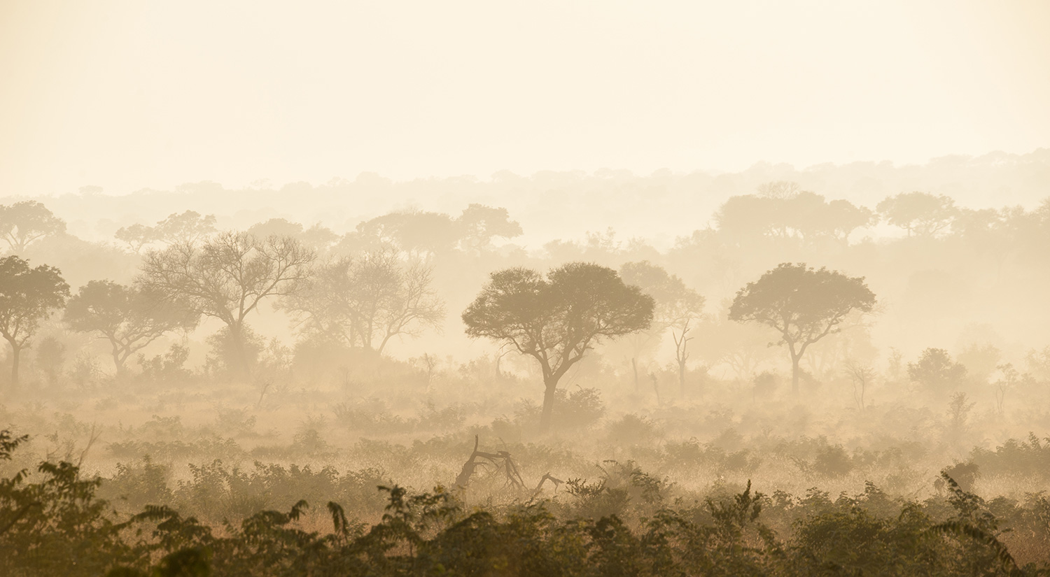 Landscape, Kruger Park, South Africa